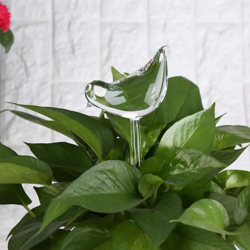 Automatic Plant Watering Device Animal Shape Self Watering Ball Clear Glass Aqua Bulbs Flowerpot Drip Irrigation Device
