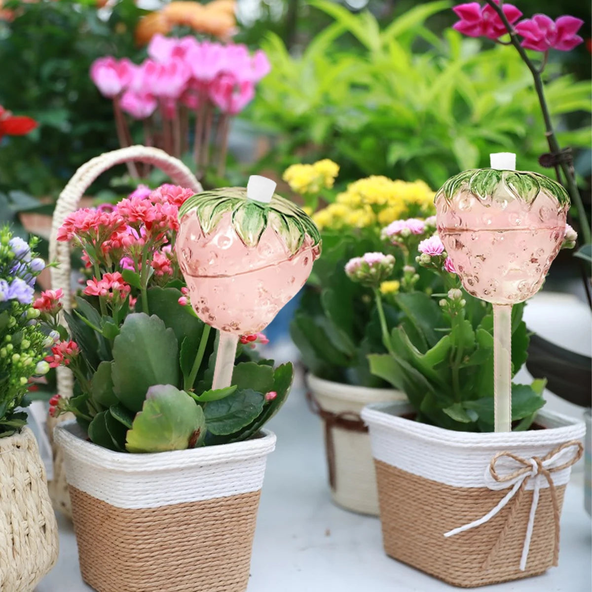 Automatic Plant Watering Bulbs Strawberry Shape Glasses Self Water Feeder Dripper Irrigation Device Drip System Gardening Tools