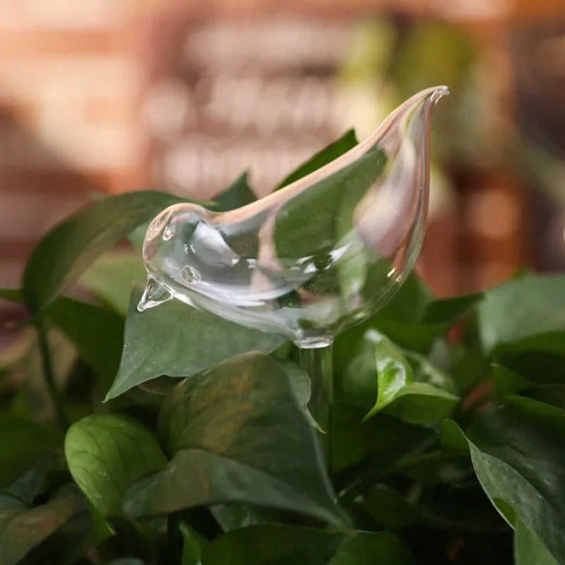 Automatic Plant Watering Device Animal Shape Self Watering Ball Clear Glass Aqua Bulbs Flowerpot Drip Irrigation Device